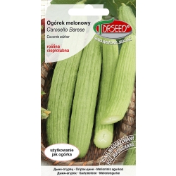 Ogórek melonowy Carosello Barese nasiona TORSEED delikatny Smak